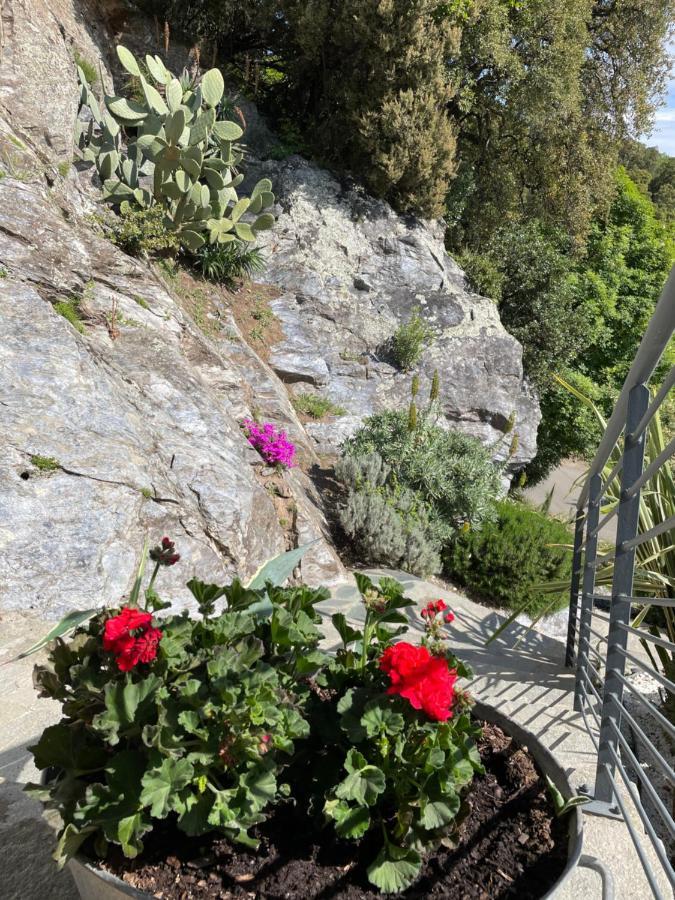 Villa Petrera Valle-di-Campoloro Luaran gambar